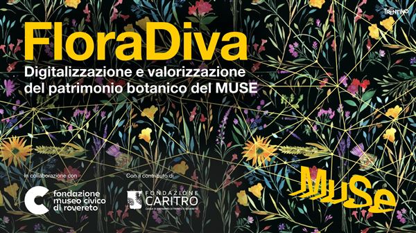 FloraDiva